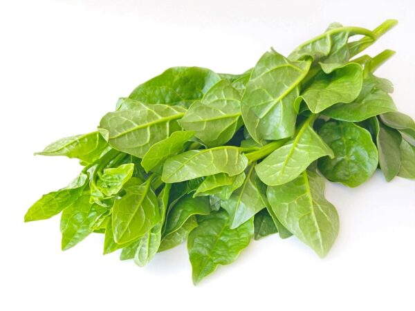 Basella alba - Malabar spinach, Vine spinach, Ceylon spinach - Image 3