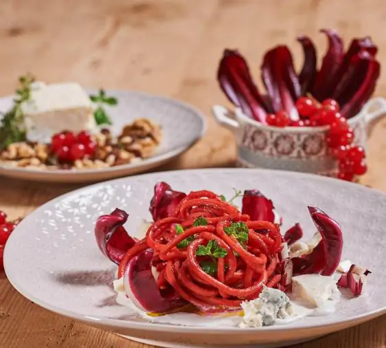 Cichorium intybus 'Rossa Di Treviso' - Purple Italian Endive, Purple Treviso Chicory, Radicchio - Image 7